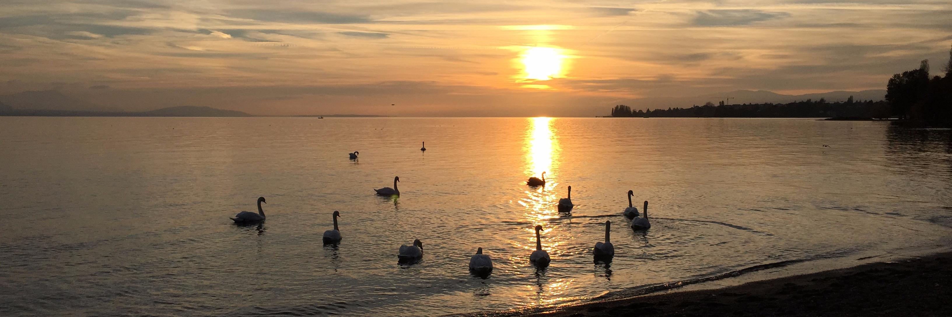 Shreejith Shanker 🇮🇳 🇮🇪 🇺🇦 banner