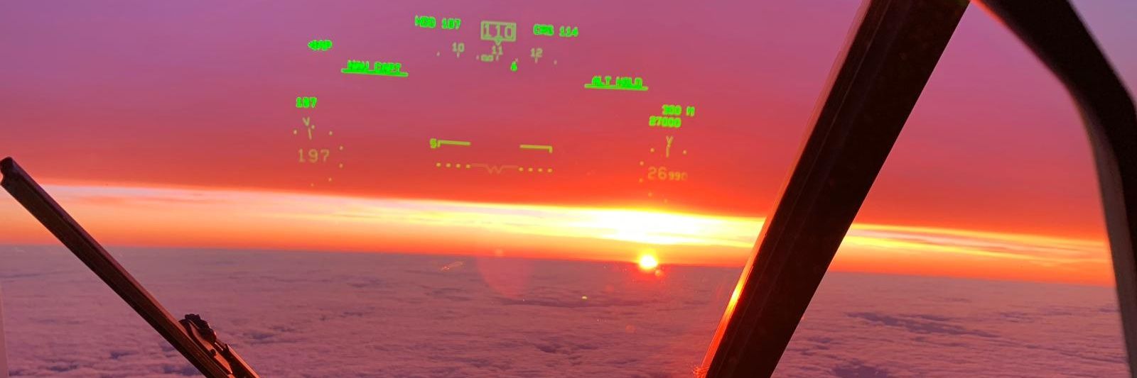 Roy Geva Glasberg banner