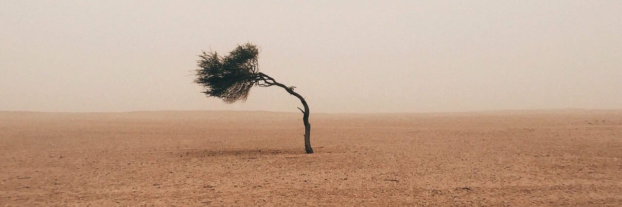 _AhlamAli_'s profile banner image
