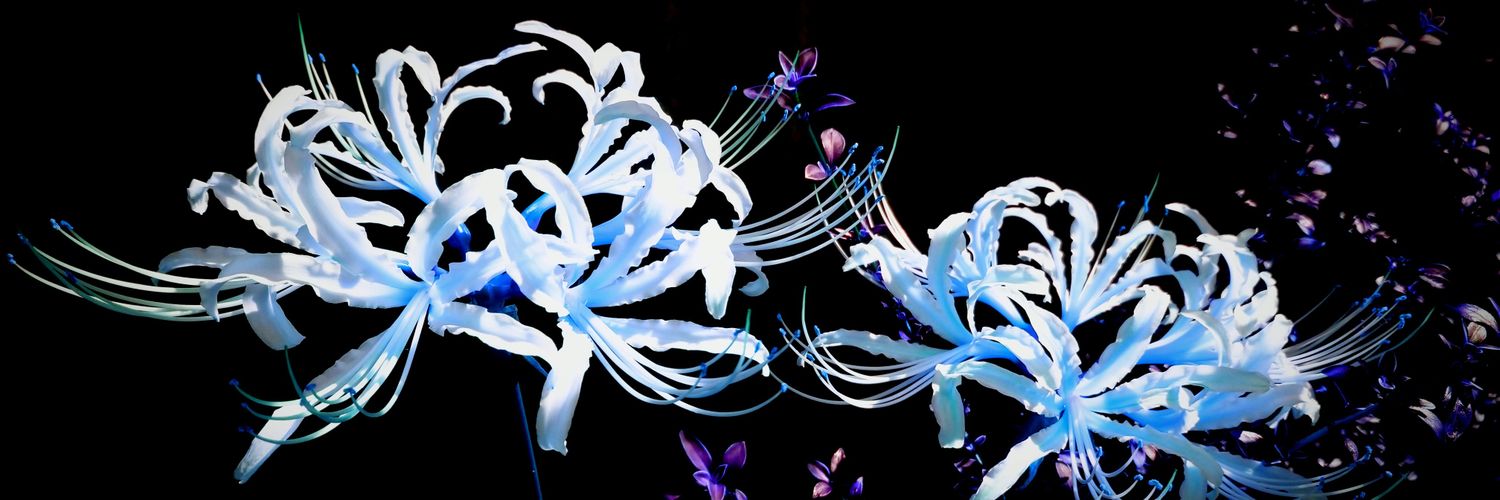WindRoku's profile banner image