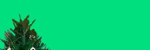 Мифология оптимизма banner