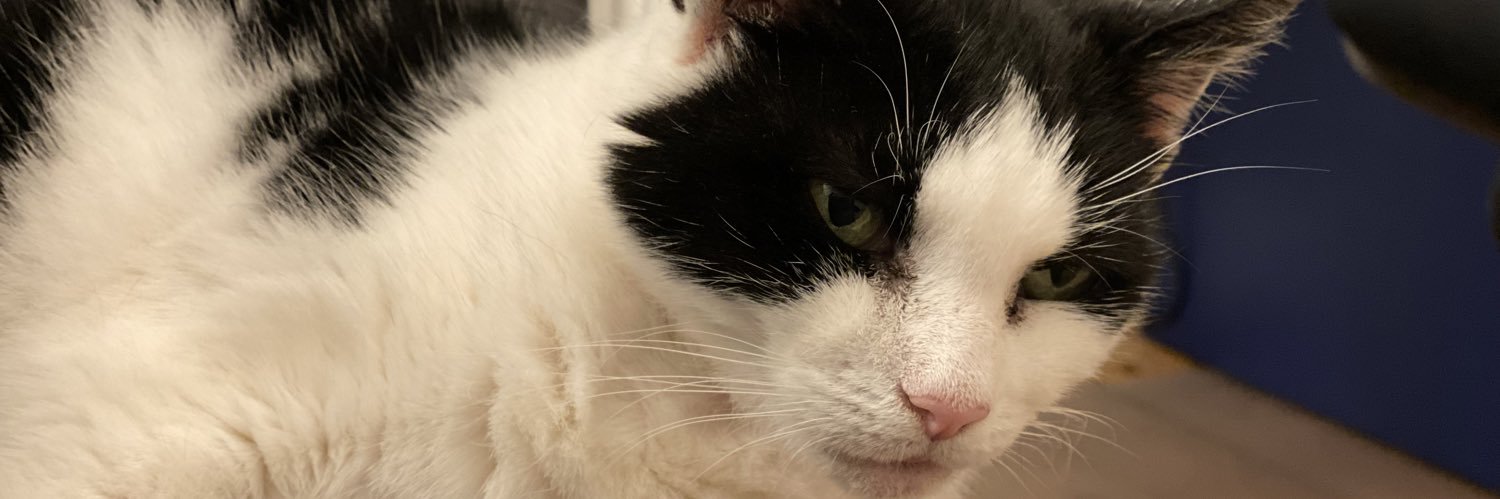 Peter B Mason banner