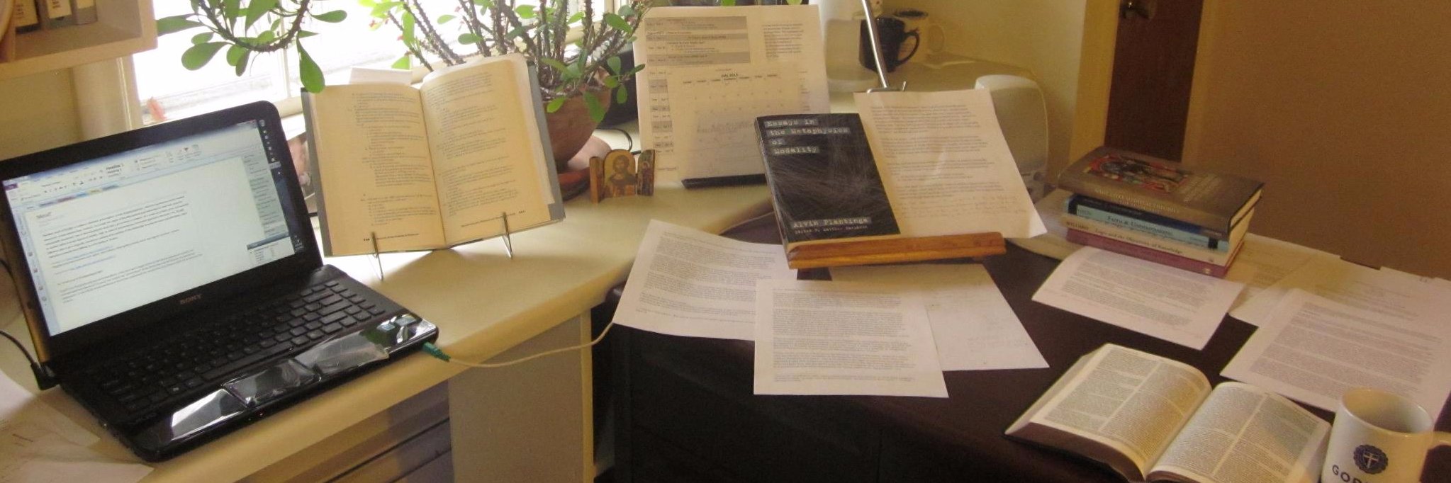 James M. Arcadi banner