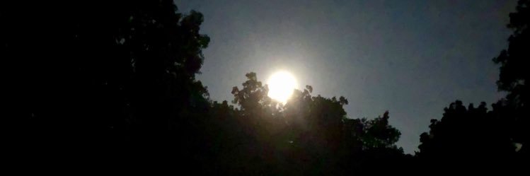 daytime_ghost's profile banner image