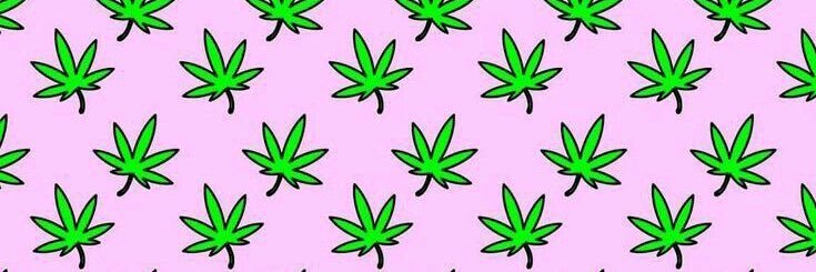 WYDKD's profile banner image