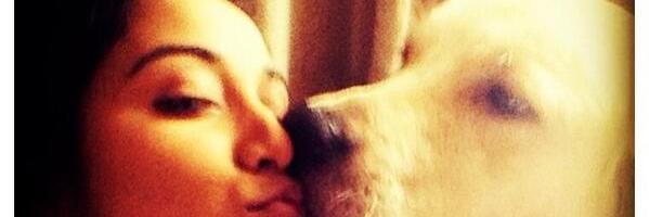 Ireneweef's profile banner image