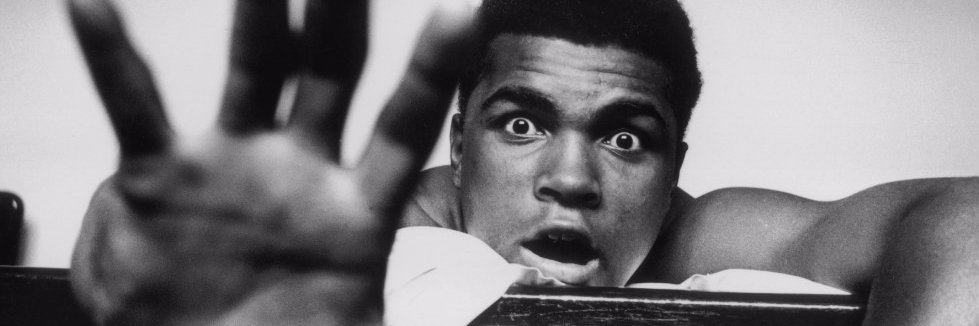 Erica Hideshima banner