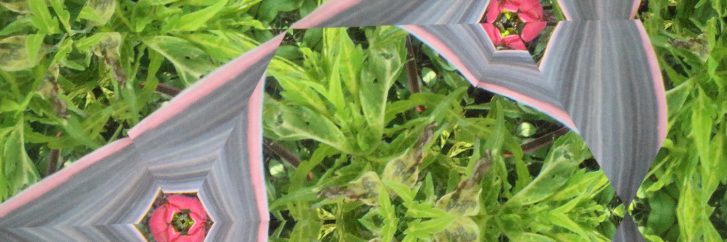 EvanQ665's profile banner image