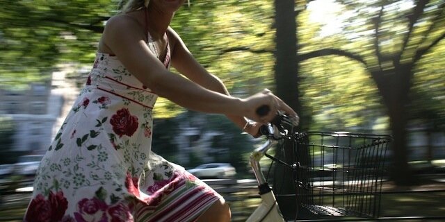 carlaholtze's profile banner image