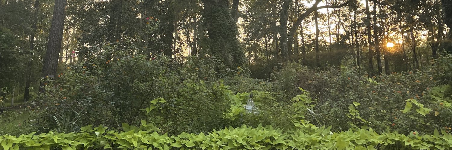 eneyeene's profile banner image