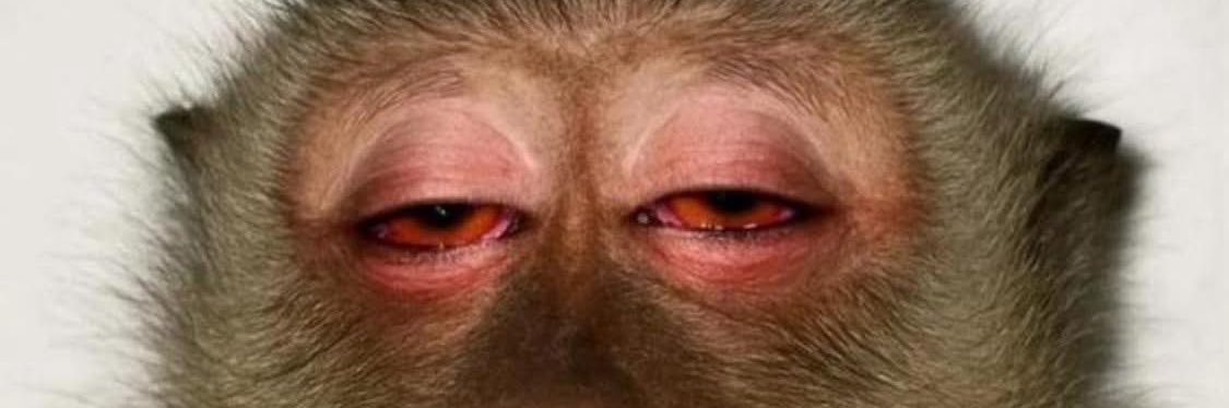 Elijhayy's profile banner image