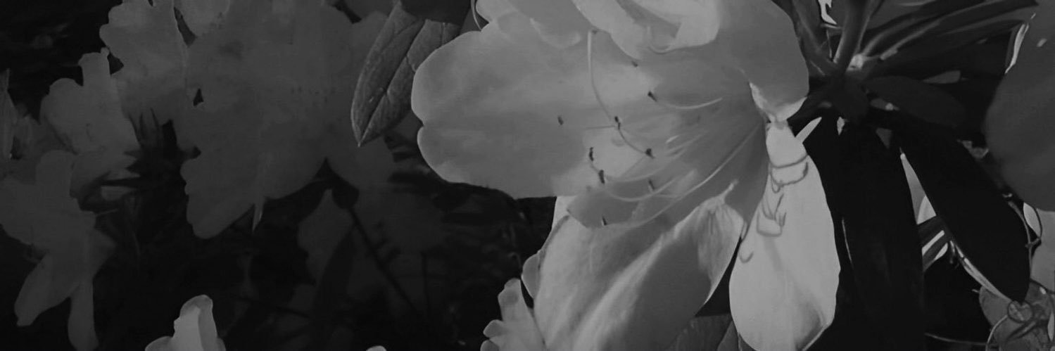 ANJANI BHASMA. banner