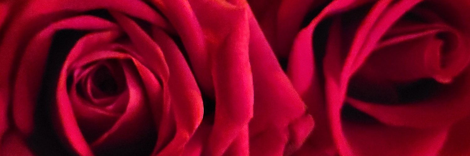 𝔗𝔞𝔫𝔠𝔶 𝔑𝔞𝔶𝔩𝔬𝔯 banner