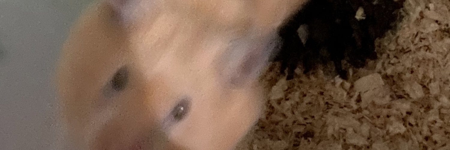 n_azzh_'s profile banner image