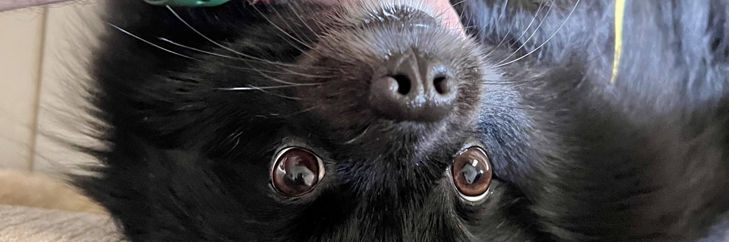CastroCVitor's profile banner image