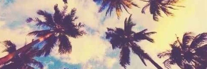 WeekleyCamille's profile banner image