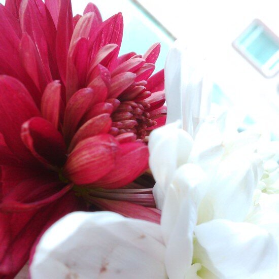 AudreyPranata's profile banner image