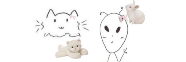 sojonghae Profile Banner