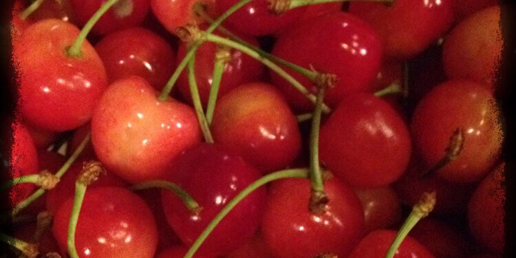 アサヒキャナコ@バックドロップシンデレラ banner