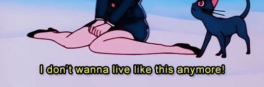 еленочка в темном лесу banner