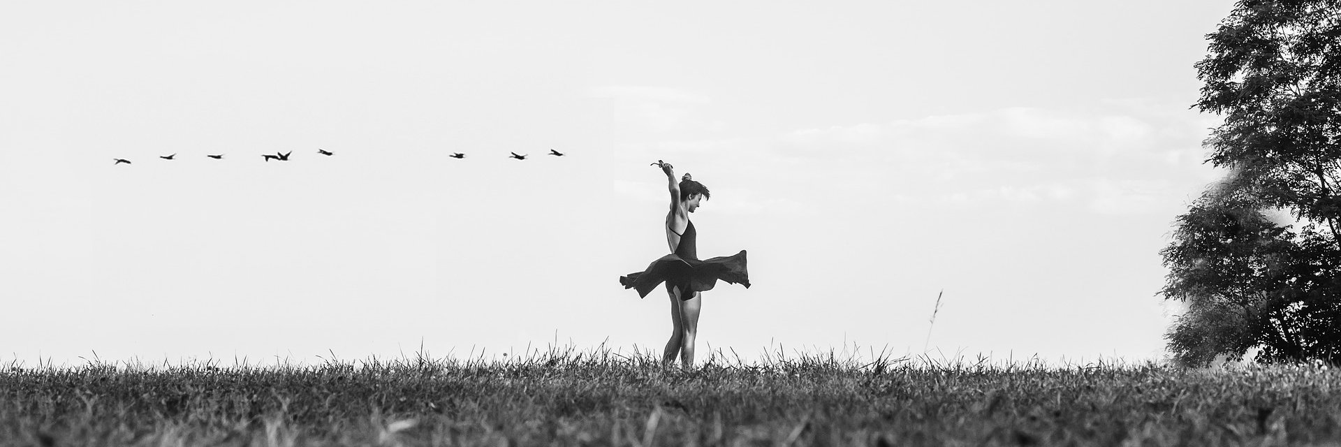 iotpd_dancers's profile banner image