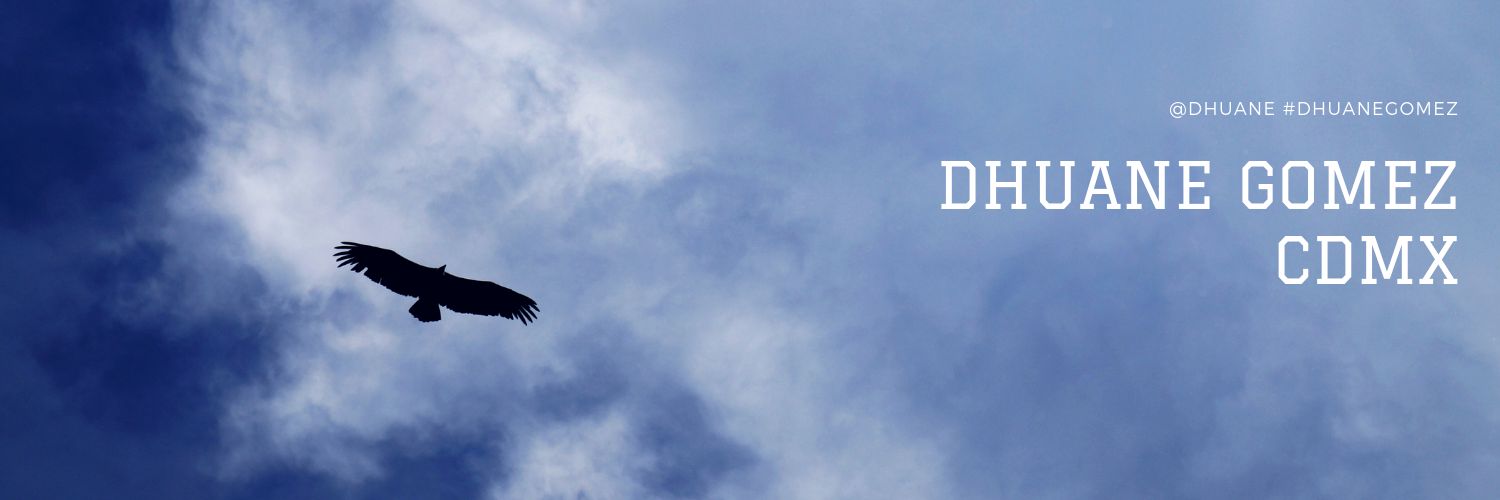 dhuane's profile banner image