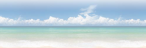 Marsha Lovell * Wealth Creator *Team Rewards* banner