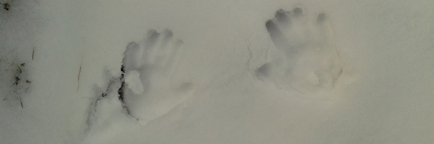 alun414's profile banner image