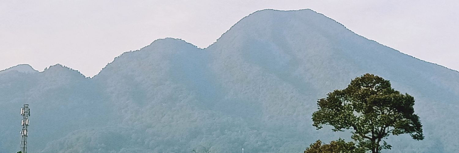 rwib's profile banner image