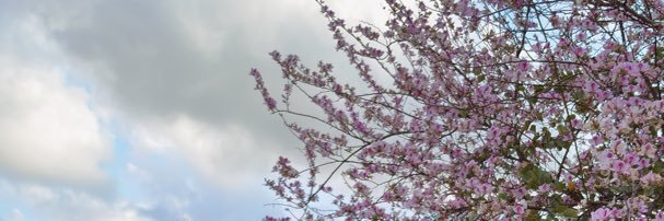 itsjasmine_9's profile banner image