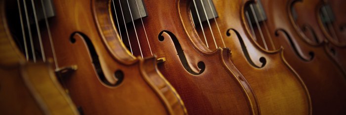 Heineman Orchestra banner