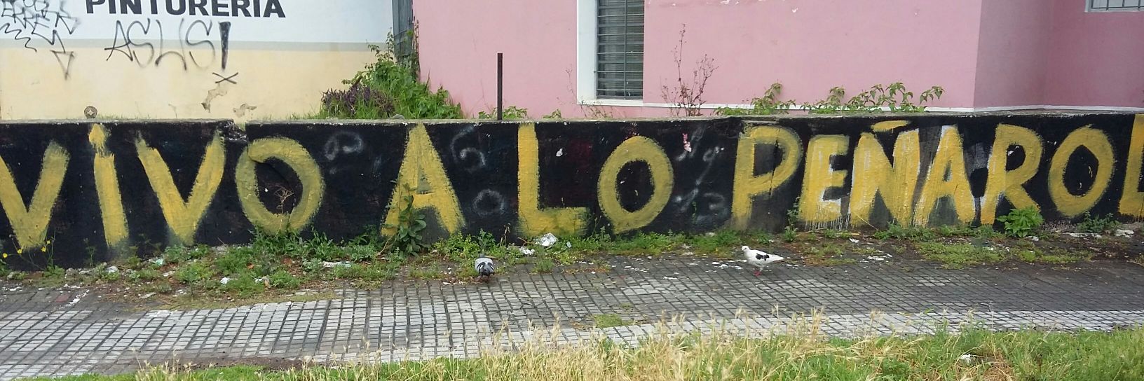 Sap8 Manya🐸 banner