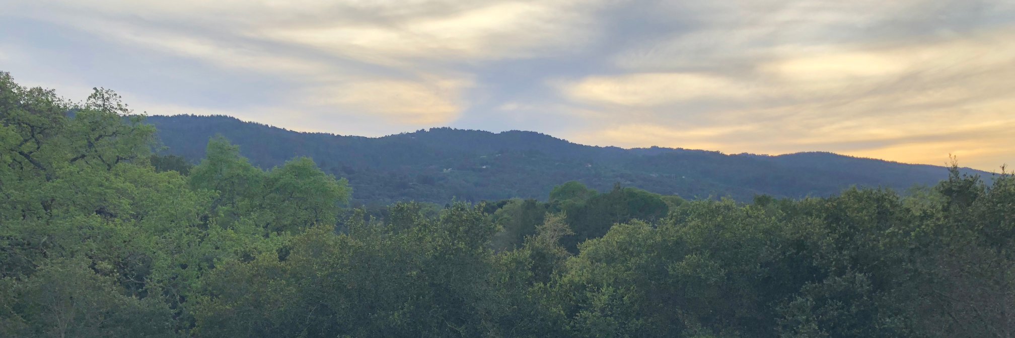 Bubba Murarka banner