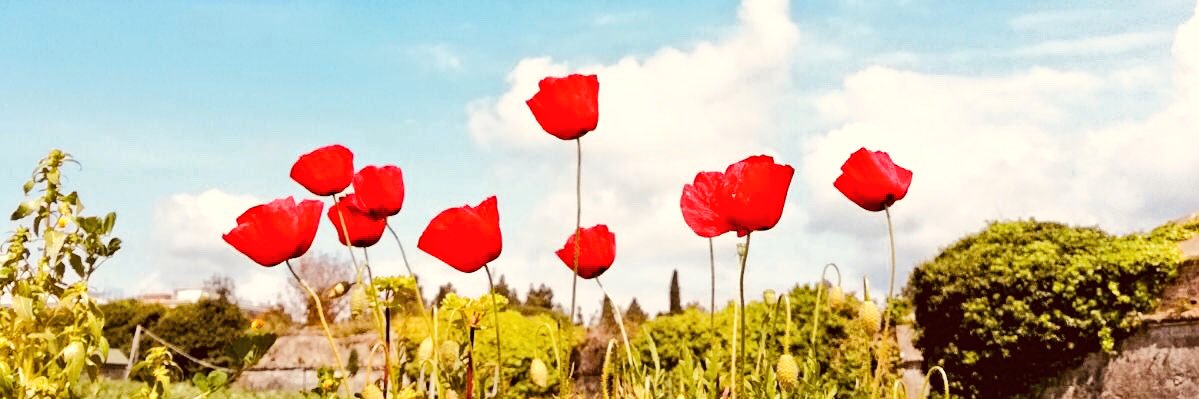 VaLennon's profile banner image