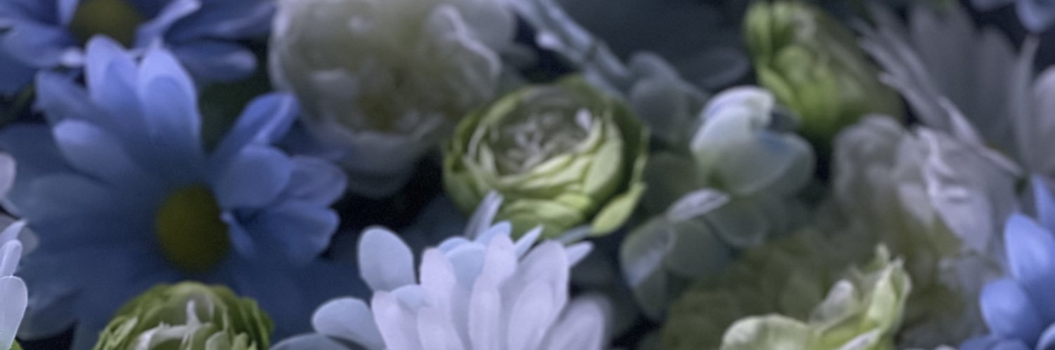 めい banner