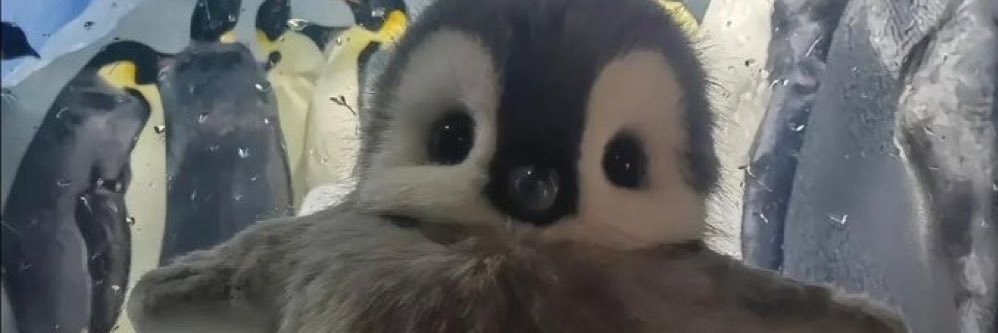 pen_vrc's profile banner image