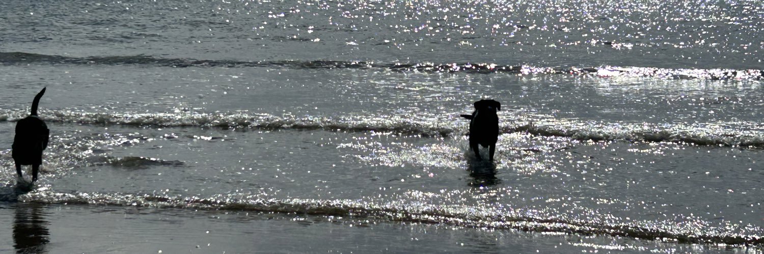 Julie Frake-Harris banner