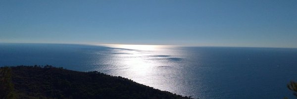 GuajeSalvaje Profile Banner