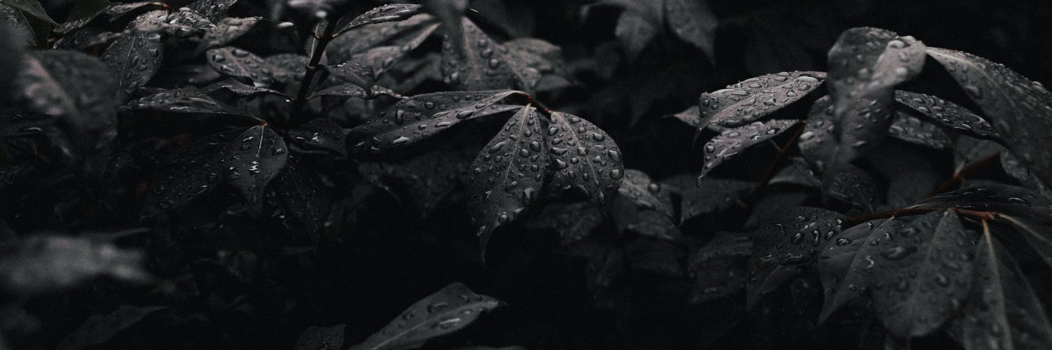 MJ__DonZotsho banner