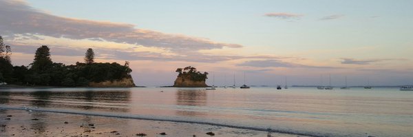 Thorlon Profile Banner