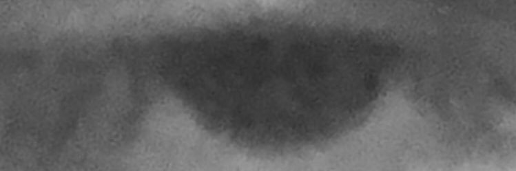 vdevortex's profile banner image