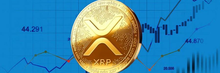 XRP BOOMER banner