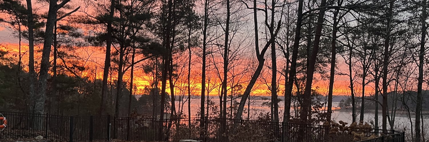 lakechickfun banner