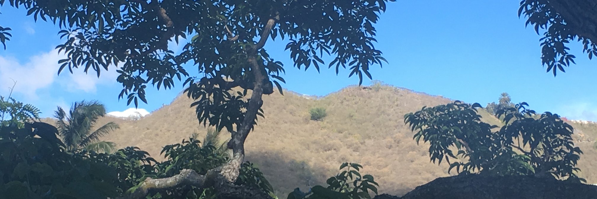 HIDOE Technology banner