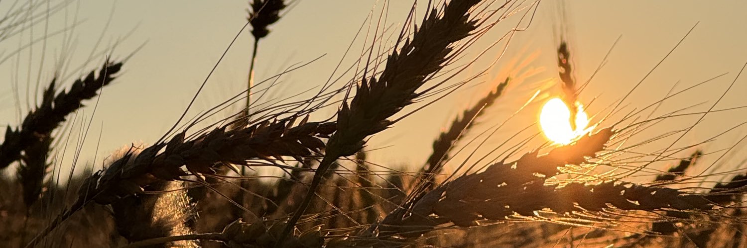 sundrifting's profile banner image