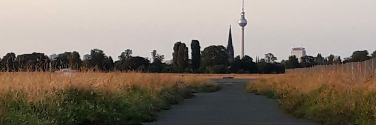 Ironiedetektor🏳️‍🌈 banner
