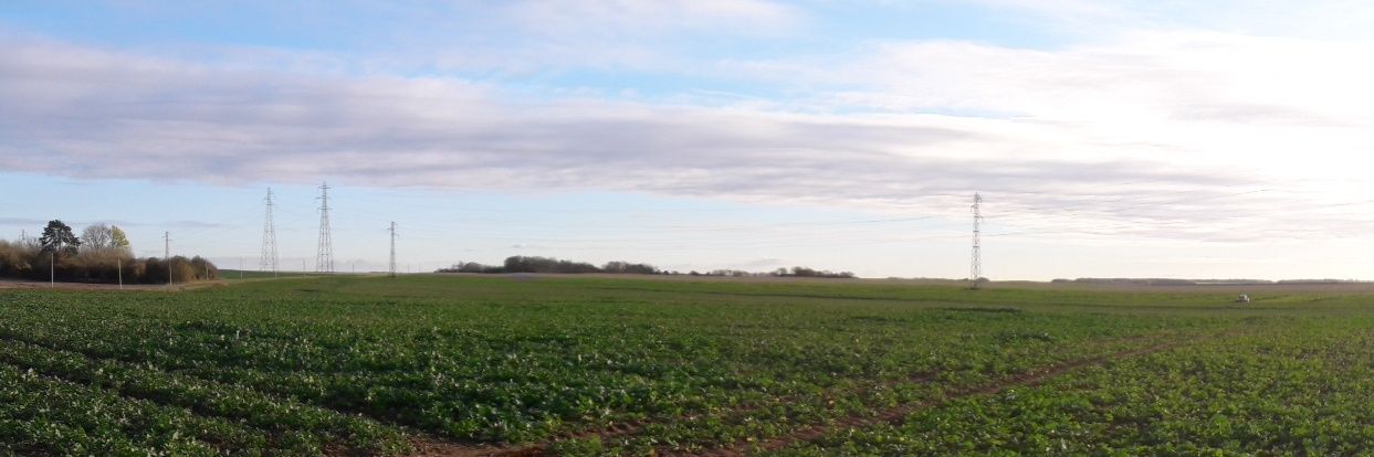 celhopiteau's profile banner image