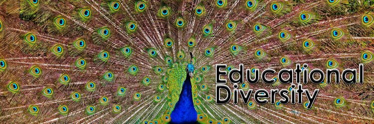 EducationalDiversity banner