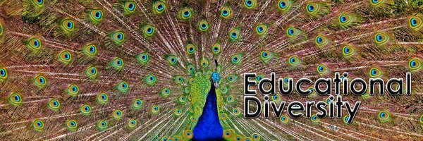 EdDivBlackpool Profile Banner