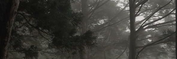 mrsscreep's profile banner image